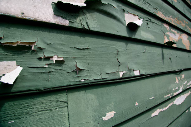 Best Recycling Services for Junk  in Plafield, IN