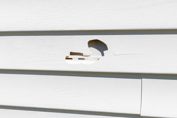 Best Demolition Debris Removal  in Plafield, IN